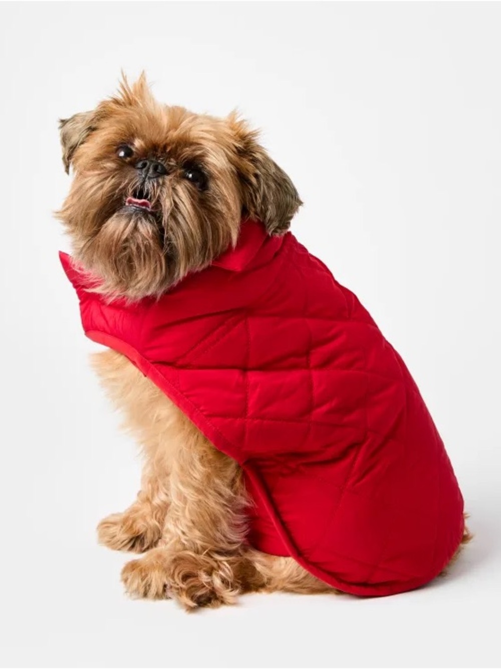 LOFT Dog Red Puffer Jacket NWT